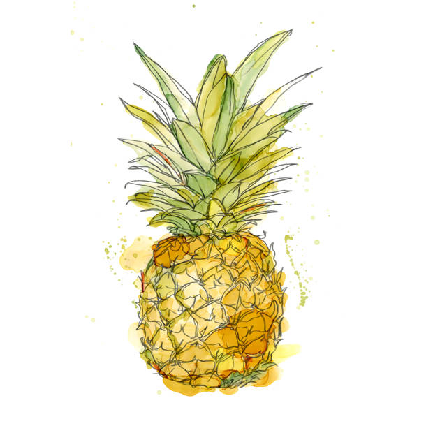 Bayou Breeze Jonesboro Pineapple Crown & Reviews Wayfair